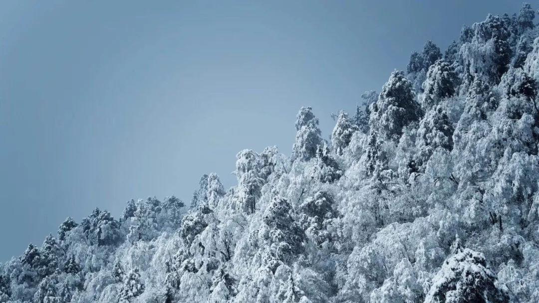 聊一下家里的狗做过最搞笑的事情是什么？游戏画面